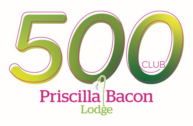 Main logo 500 Club members