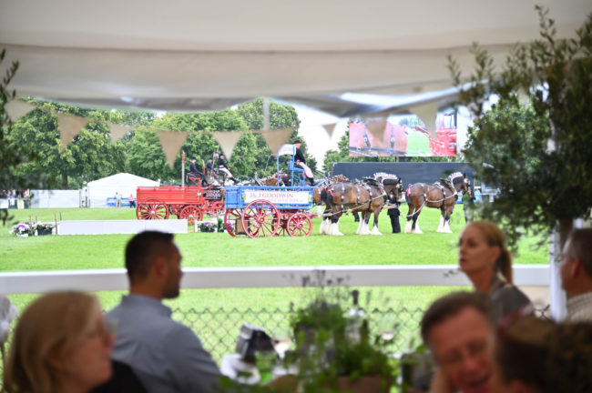 Jarrold Norfolk Show 2